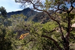 photo thumbnail #12