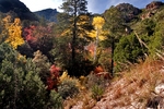 photo thumbnail #13