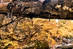 photo thumbnail #14