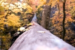 photo thumbnail #15