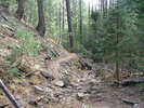 photo thumbnail #4