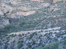 photo thumbnail #9