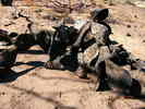 photo thumbnail #6