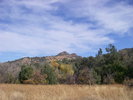 photo thumbnail #10