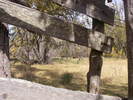 photo thumbnail #14