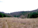 photo thumbnail #15