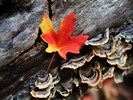 photo thumbnail #9