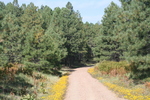 photo thumbnail #9