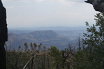 photo thumbnail #13