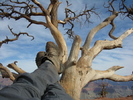 photo thumbnail #3