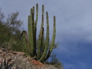 photo thumbnail #4