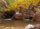 photo thumbnail #8