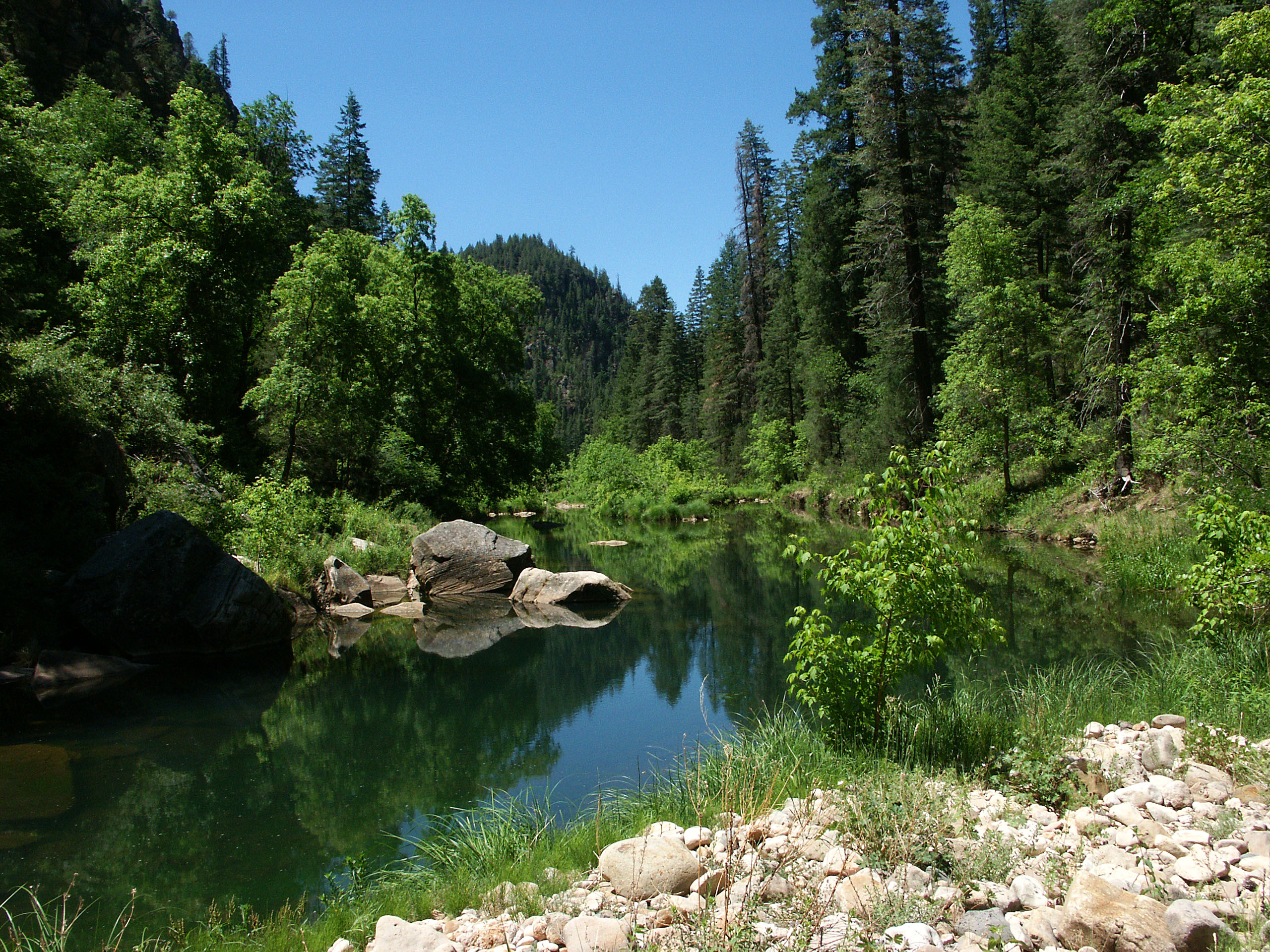 clear creek water shoes
