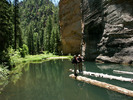 photo thumbnail #13