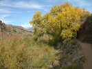 photo thumbnail #7