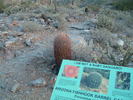 photo thumbnail #5