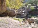 photo thumbnail #10
