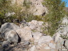 photo thumbnail #11