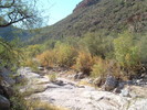 photo thumbnail #13