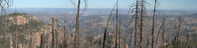 photo thumbnail #14