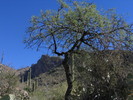 photo thumbnail #2