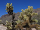 photo thumbnail #3