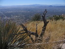 photo thumbnail #9