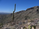 photo thumbnail #12