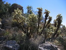photo thumbnail #13