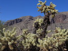 photo thumbnail #14
