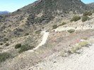 photo thumbnail #1