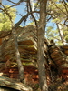 photo thumbnail #8