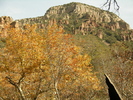 recent photo