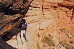 photo thumbnail #9
