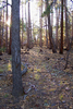 photo thumbnail #15