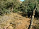 photo thumbnail #2