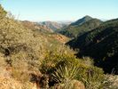 photo thumbnail #5