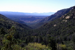 photo thumbnail #6