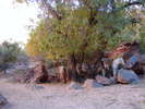 recent photo