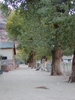 recent photo