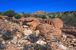 photo thumbnail #4