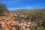 photo thumbnail #12