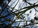 photo thumbnail #13