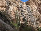photo thumbnail #14
