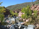 photo thumbnail #6