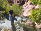 photo thumbnail #7