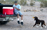 photo thumbnail #7