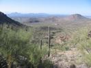 photo thumbnail #3