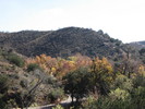 photo thumbnail #1