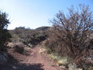 photo thumbnail #4